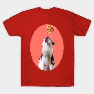 My Fav Food Is Pizza T-Shirt